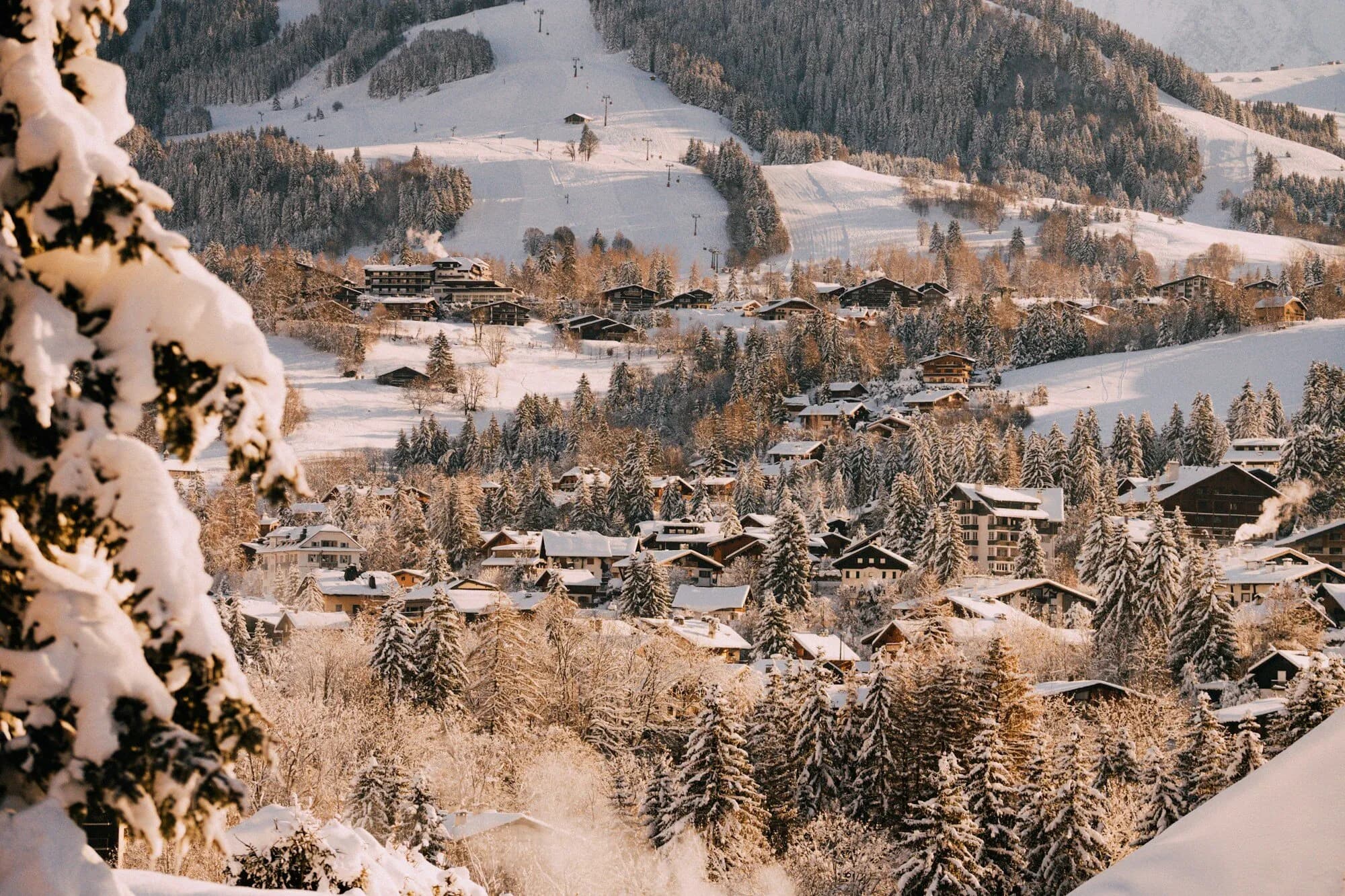 Snow-dusted chalets scattered through trees on a hillside in warm low sun, with a ski slope above.