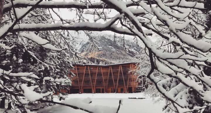 Timber-clad exterior with private balconies and mountain backdrop