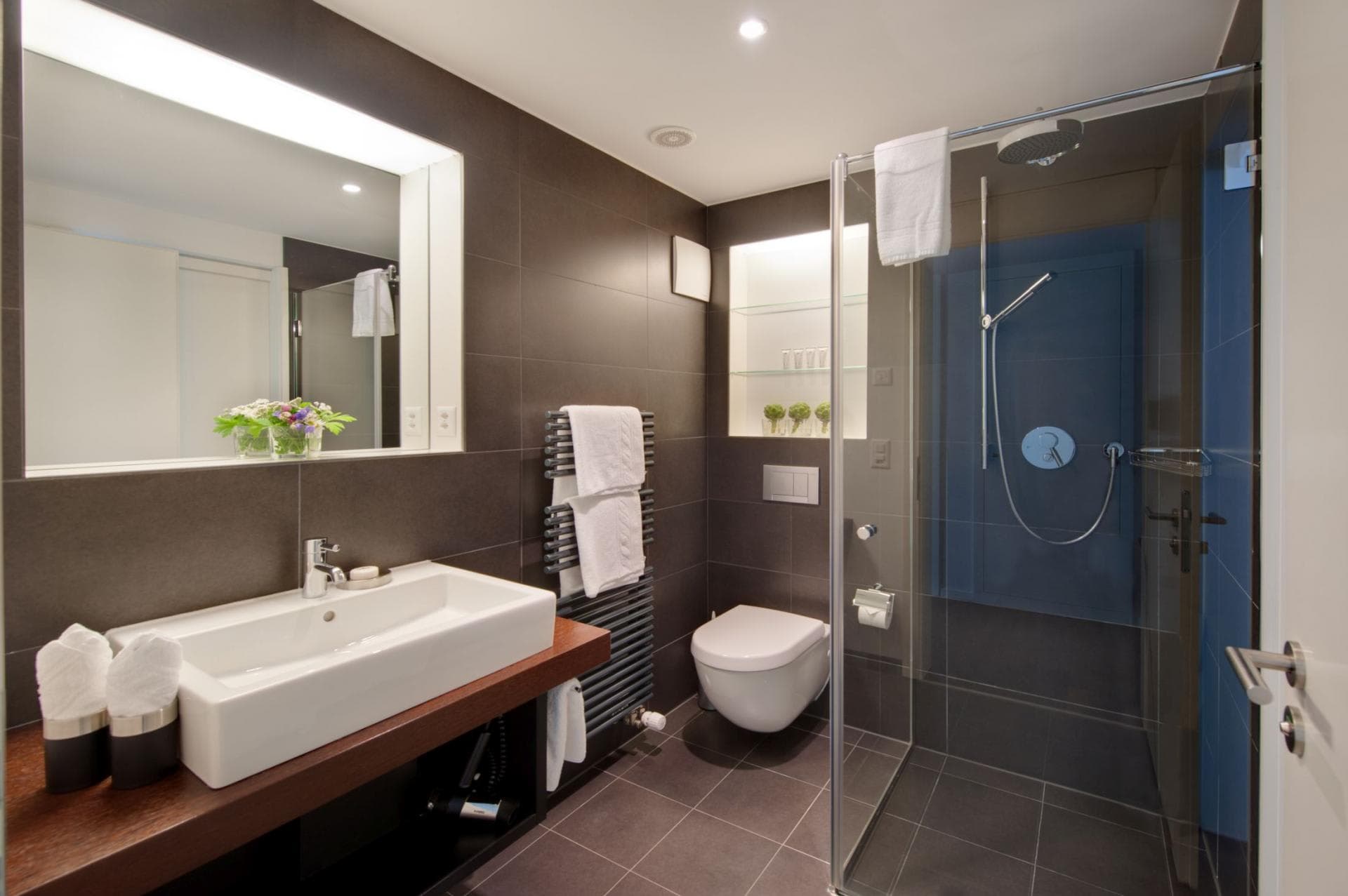 Bathroom with walk-in shower and heated towel rail