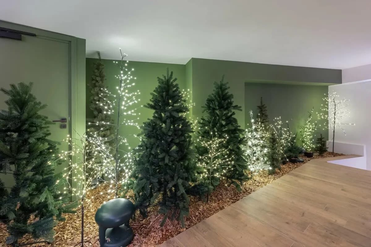 Shared interior atrium with illuminated trees and timber finishes