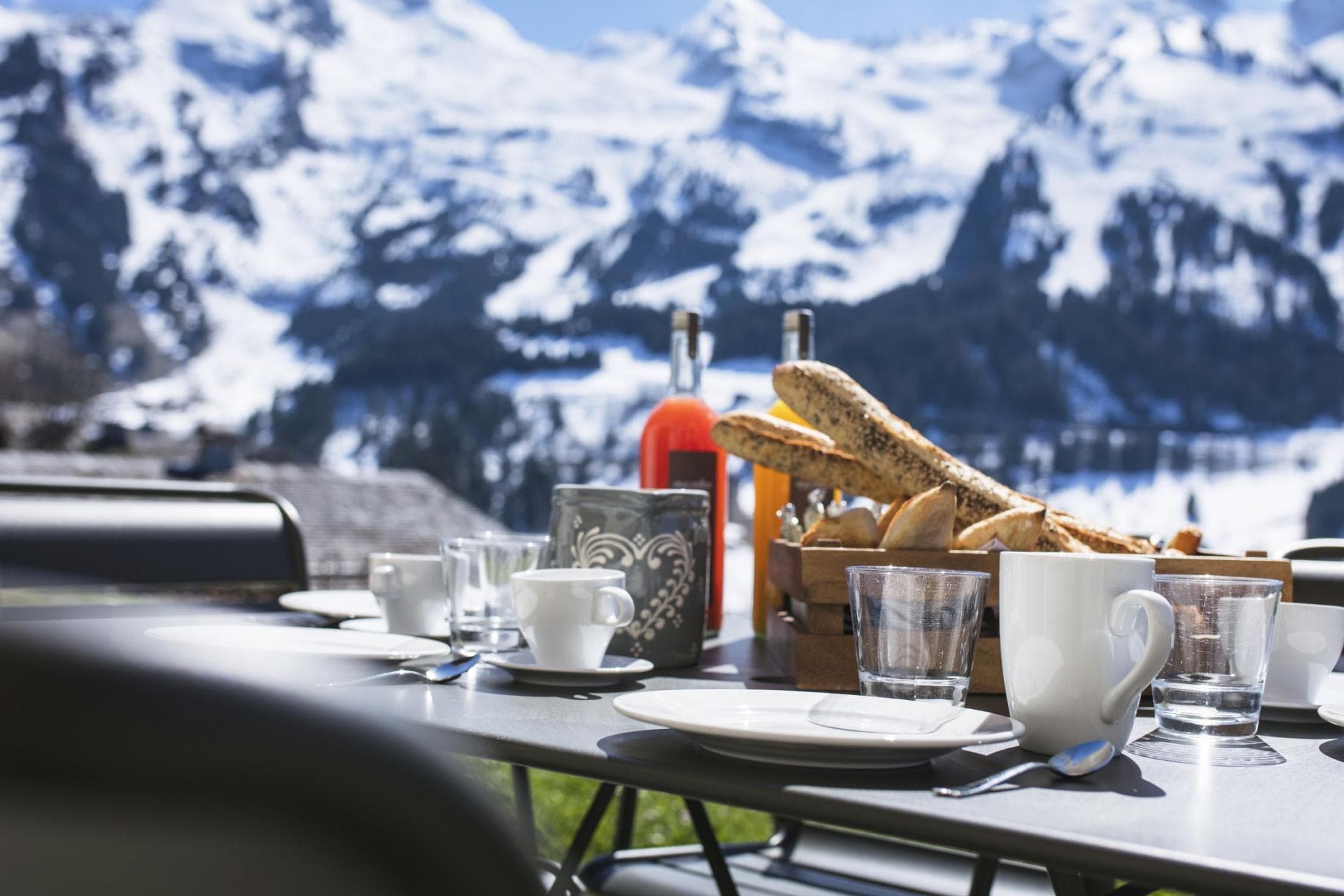 Outdoor dining table with panoramic Alps view