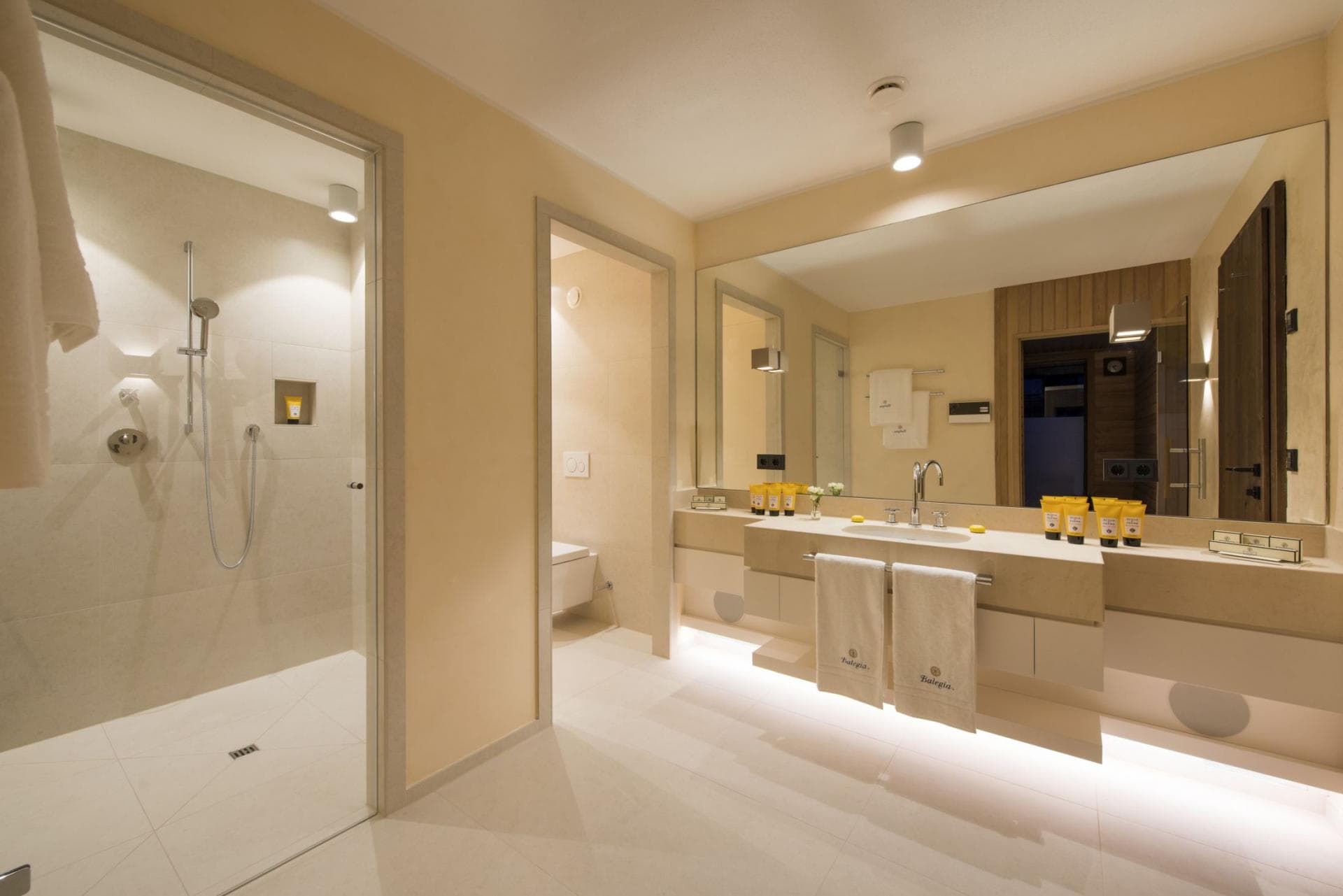 Bathroom with walk-in rainfall shower and separate water closet