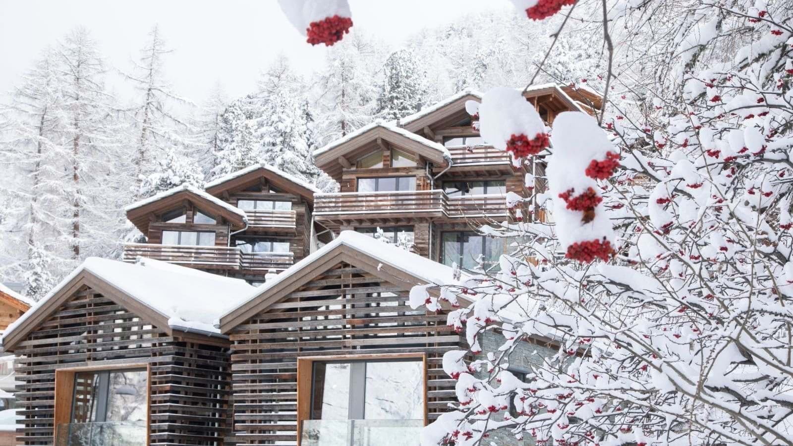 Ski-in chalet with private balconies and mountain forest backdrop