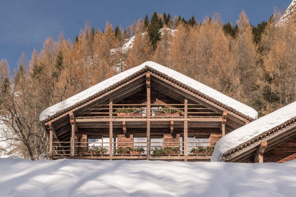 Timber chalet exterior with private balconies and forest backdrop