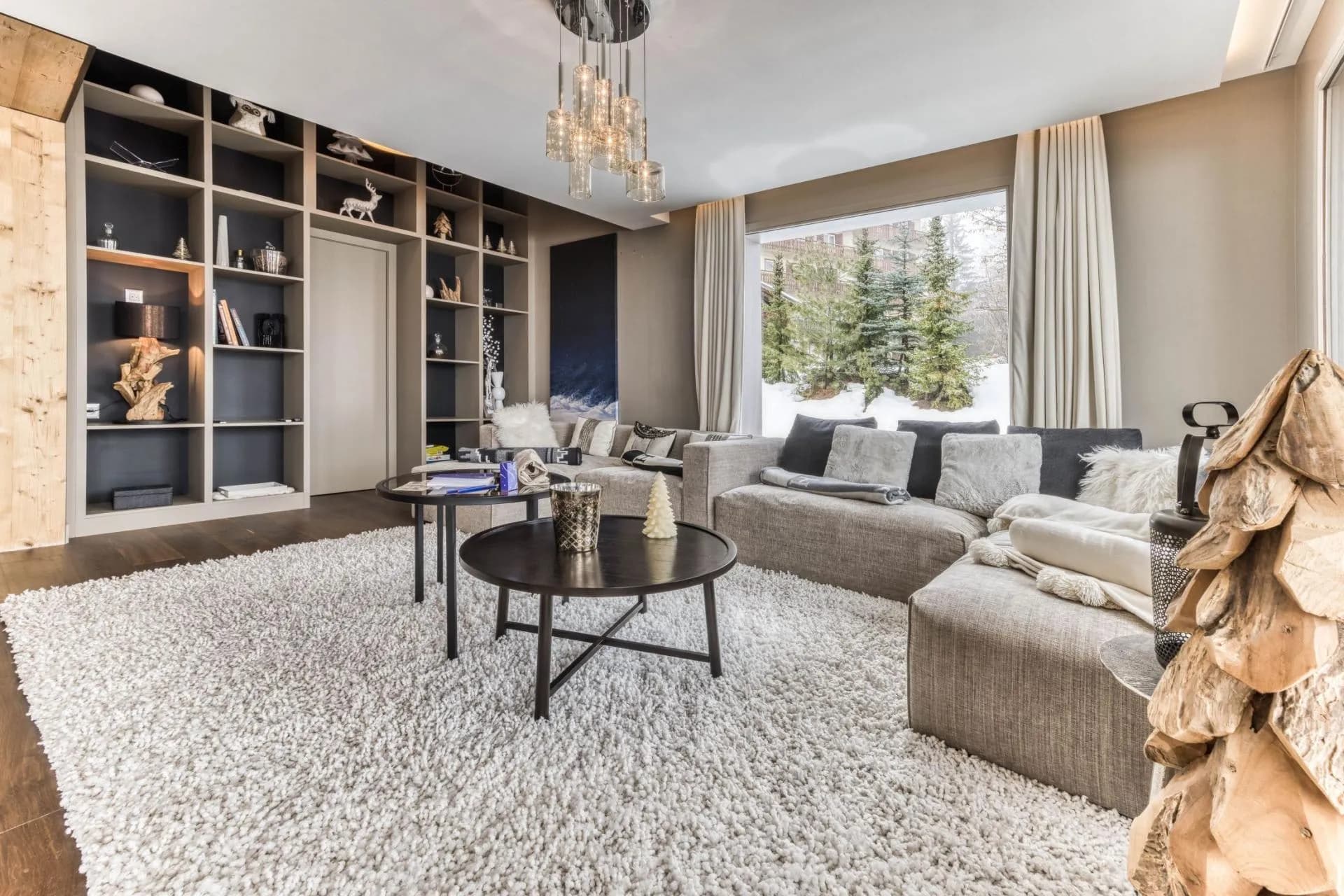 Living room with sofas and built-in shelving