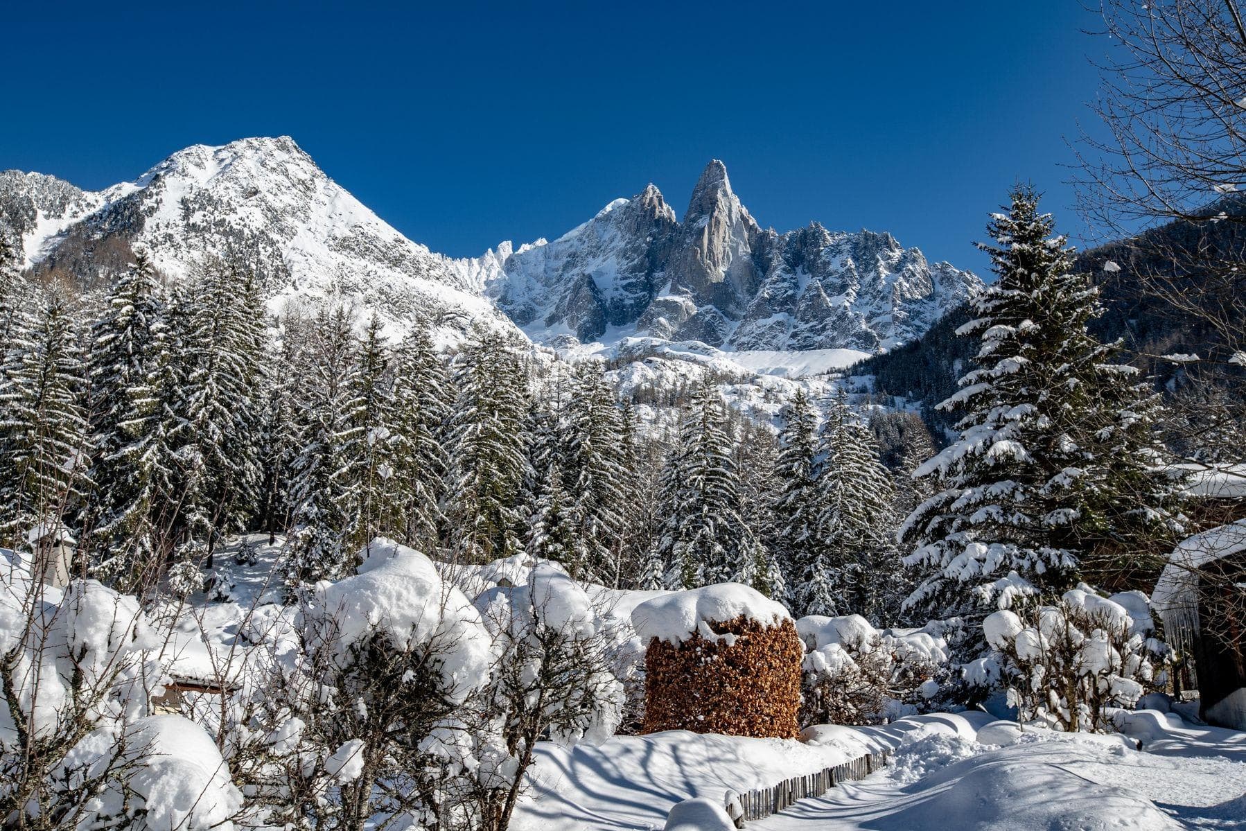 Chalet Black Squirrel - Image 26