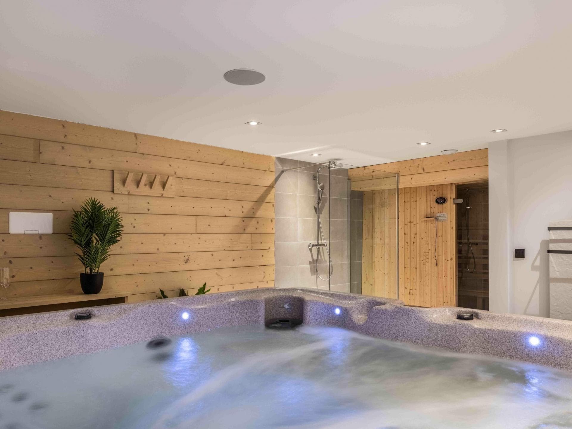Indoor spa with hot tub, walk-in shower, and private sauna