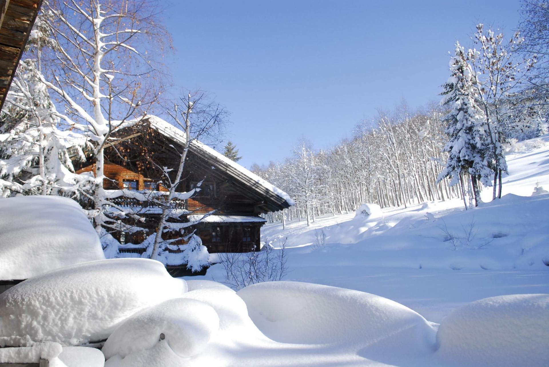 Timber chalet exterior with private balcony bordering a snowy forest