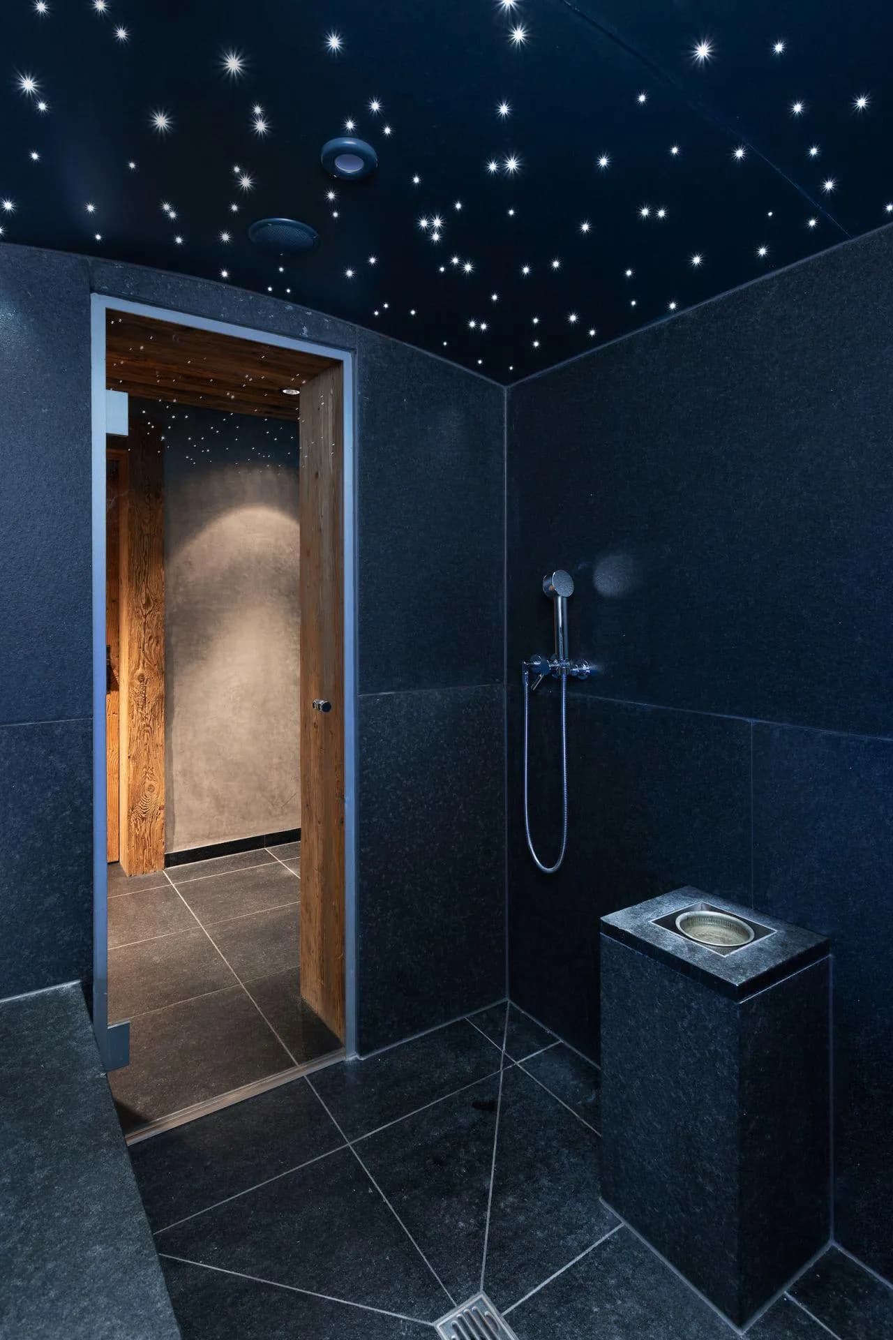 Private steam room with fiber optic starlight ceiling and handheld sprayer