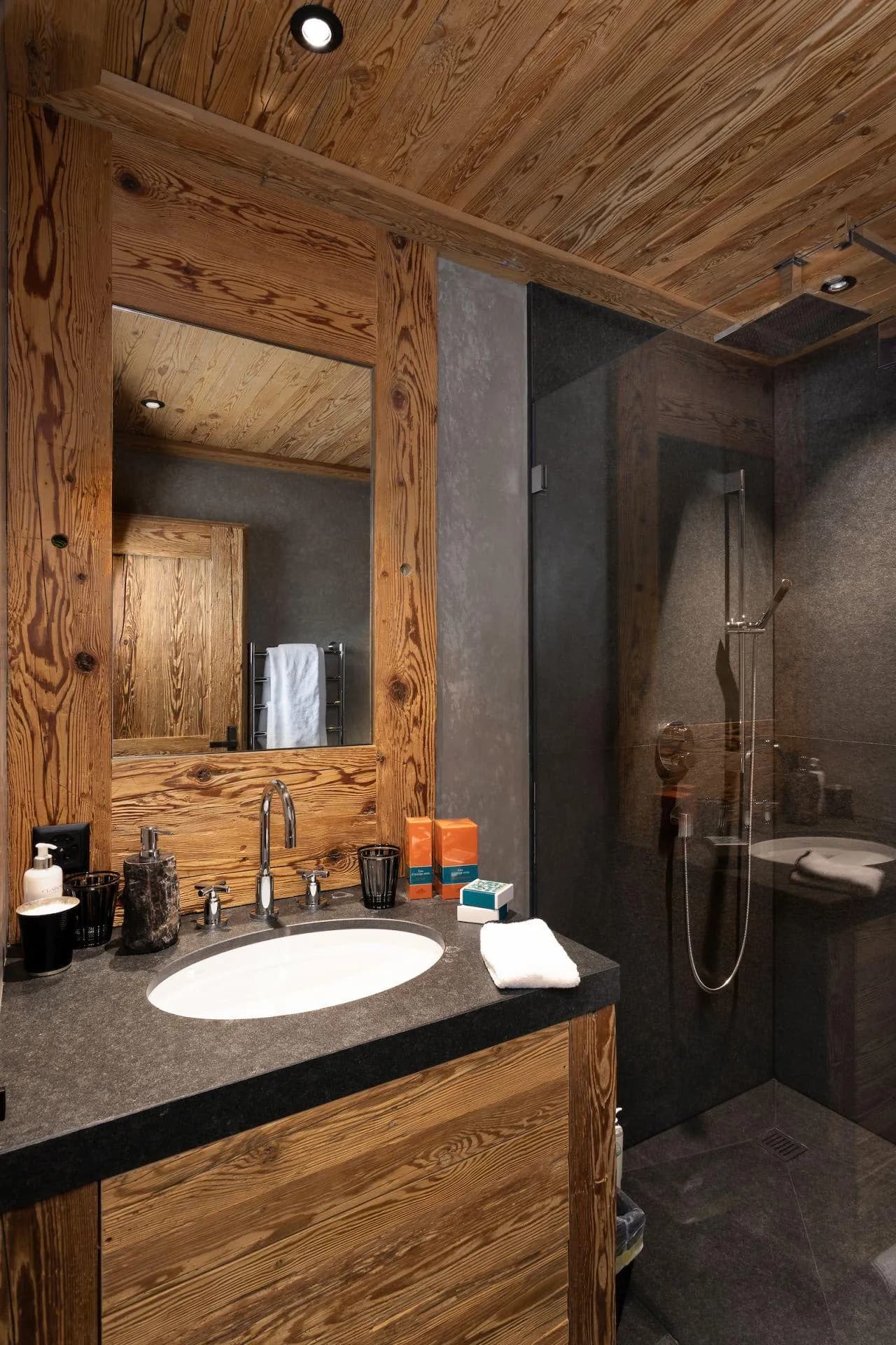 Bathroom featuring walk-in rainfall shower and heated towel rail