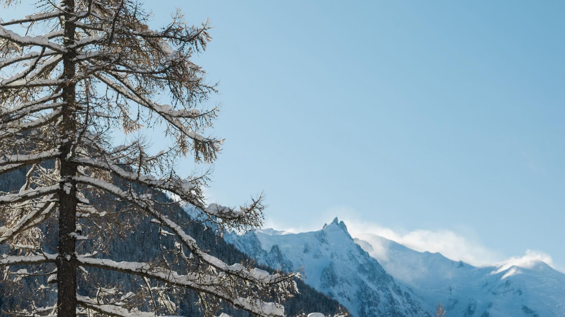 Mountain views with snow-capped peaks and alpine forest