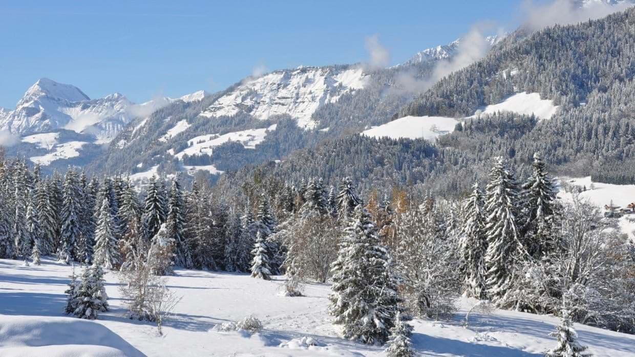 Panoramic mountain view from property overlooking snow-covered pine forests