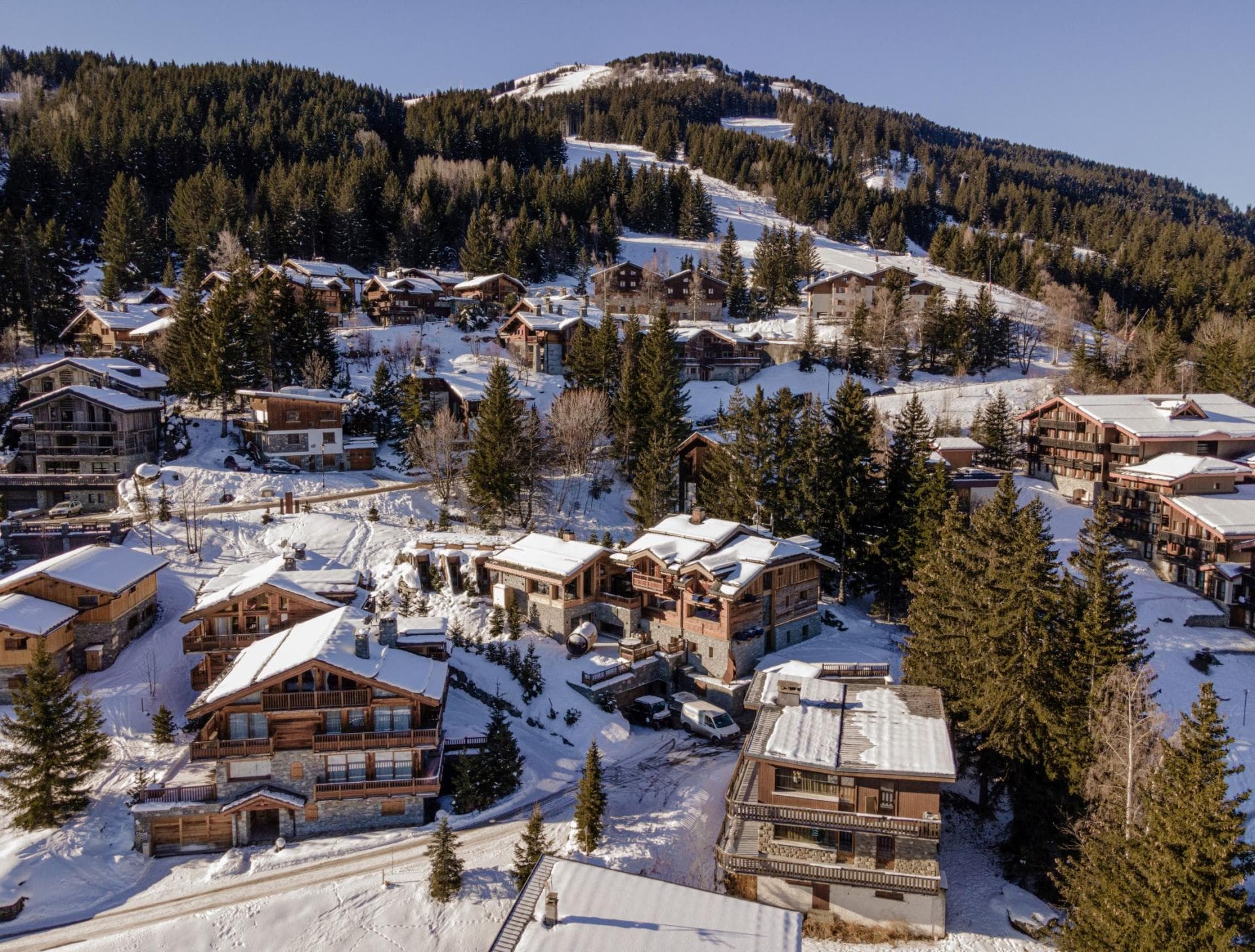 Aerial view of slope-side chalets with ski-in, ski-out access