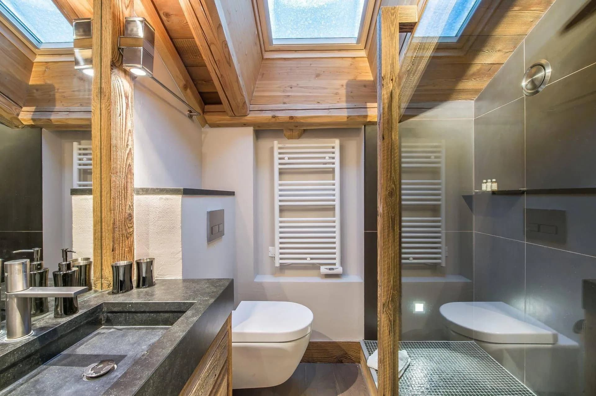 Bathroom with walk-in shower, toilet and roof skylight