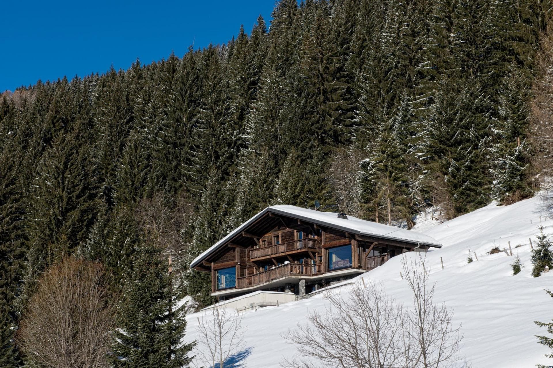 Ski-in/ski-out timber chalet with private balconies and forest backdrop