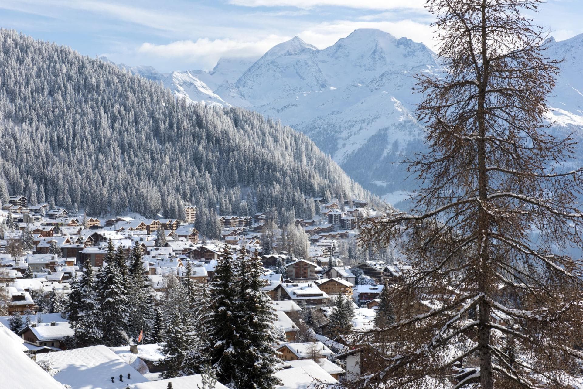 Ski village view with snow-capped mountain peaks and evergreen forest