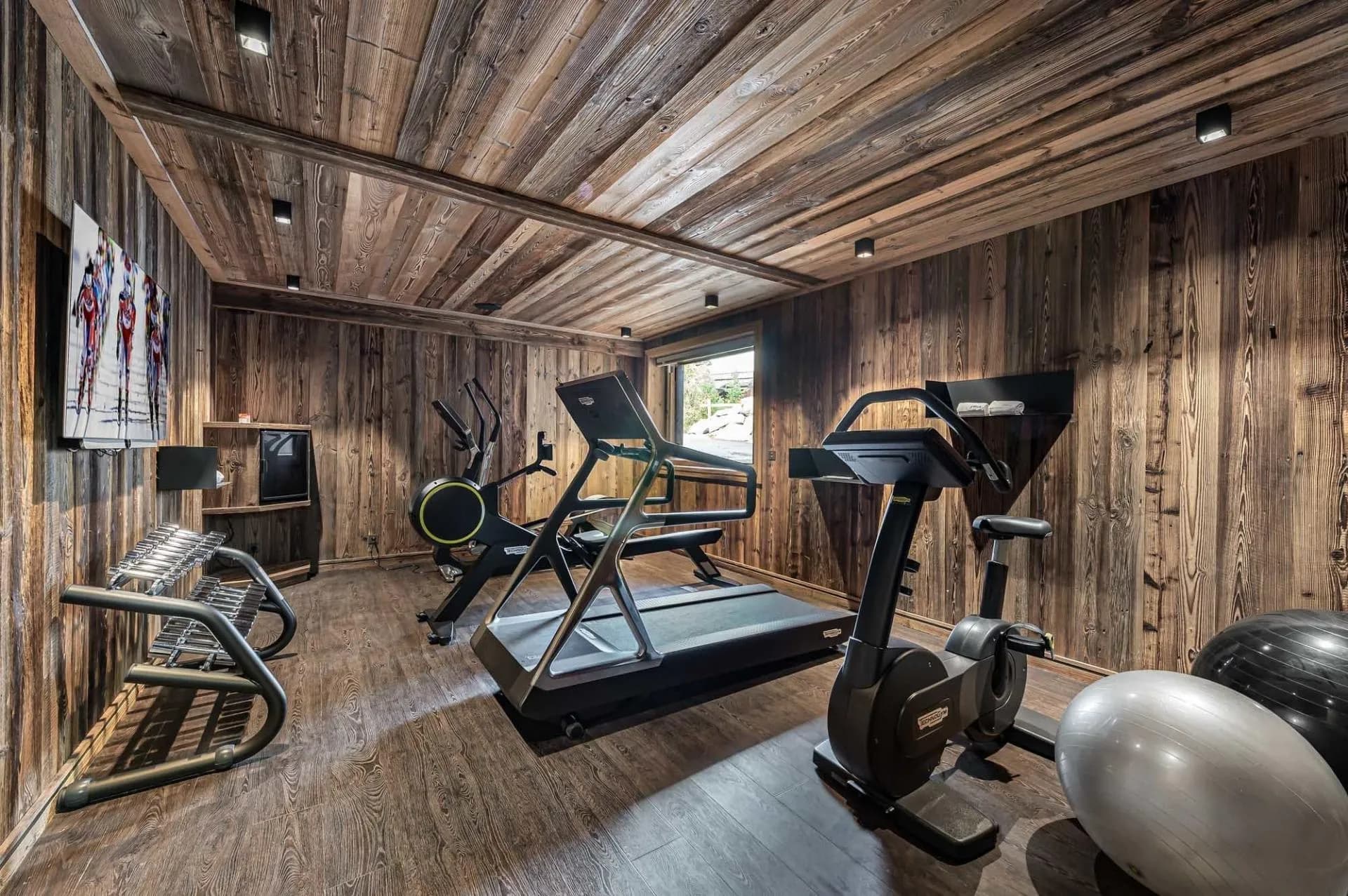 Gym with treadmill, exercise bike and fitness equipment