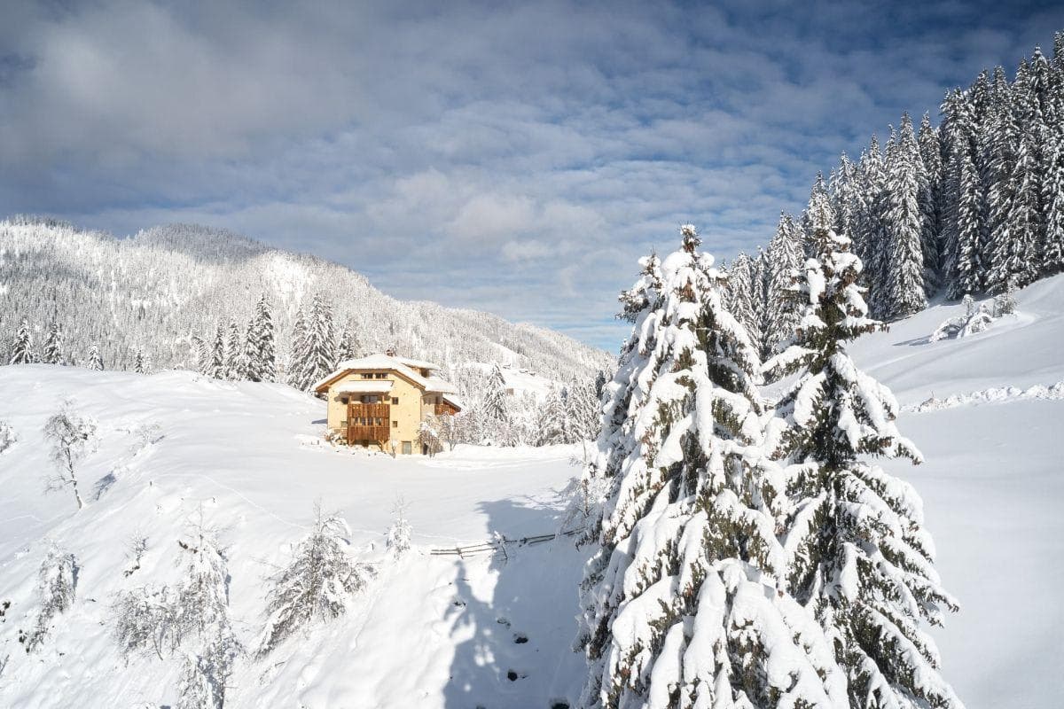 Secluded chalet exterior with ski-in access and forest views