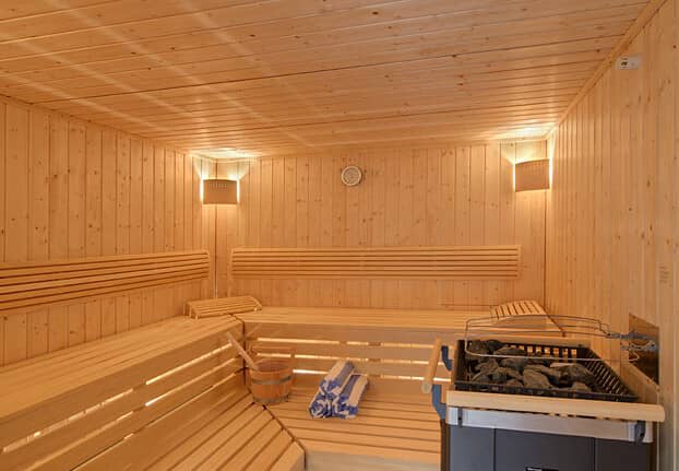 Sauna with tiered bench seating and electric rock heater