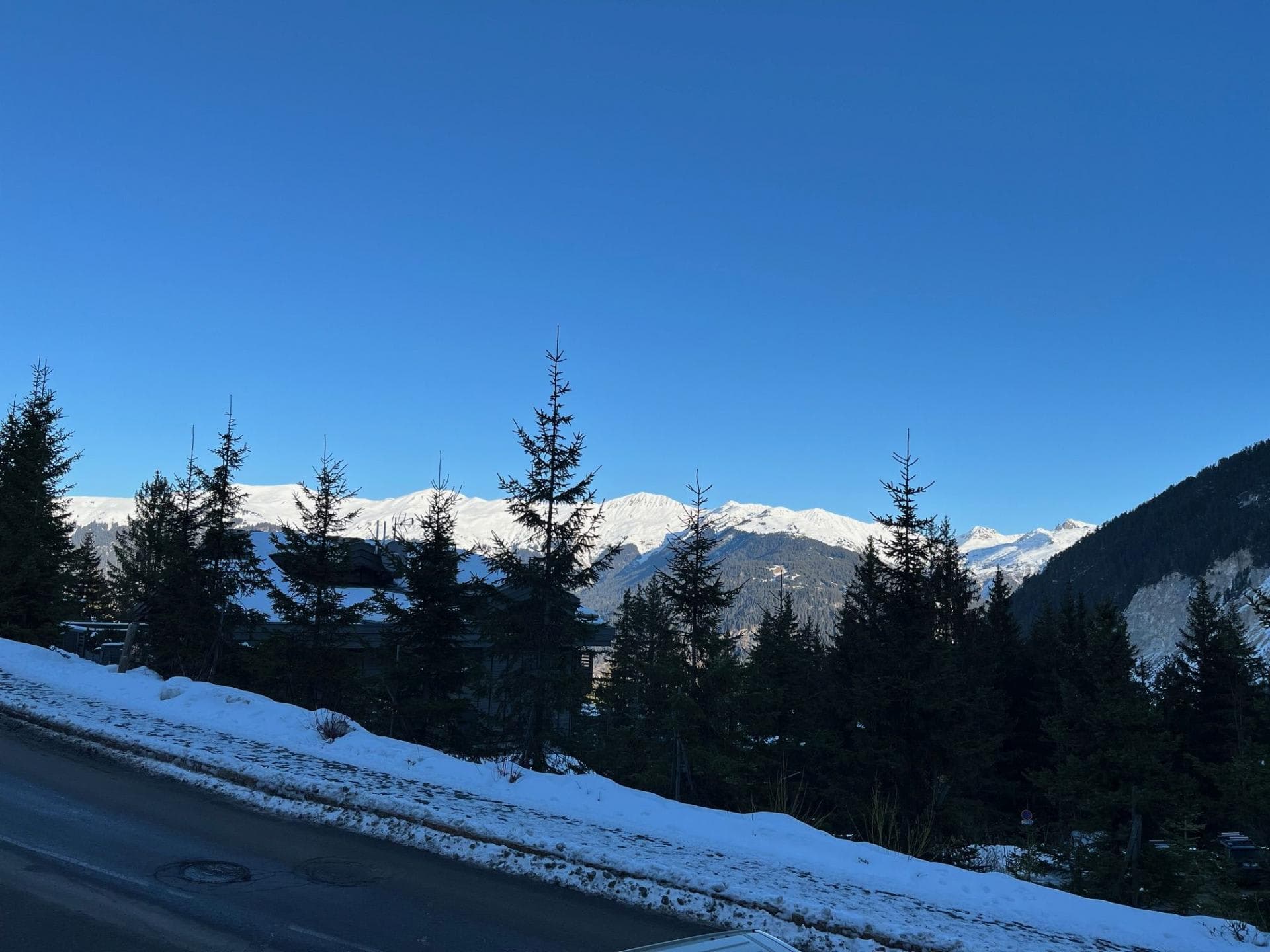 Snow-capped mountain views with evergreen trees and clear skies