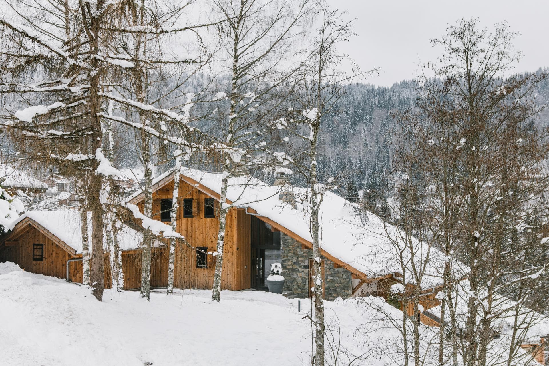 Chalet exterior with timber cladding and stone accents; ski-in access possible