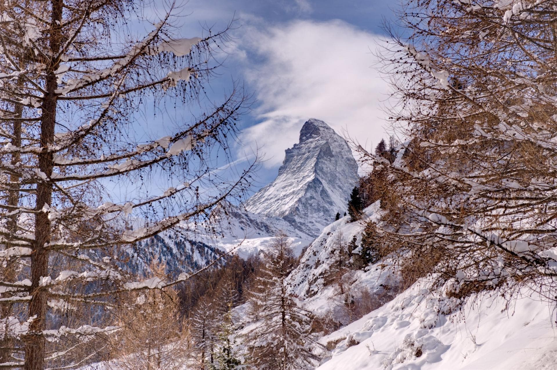 Matterhorn mountain view from the property's alpine forest surroundings