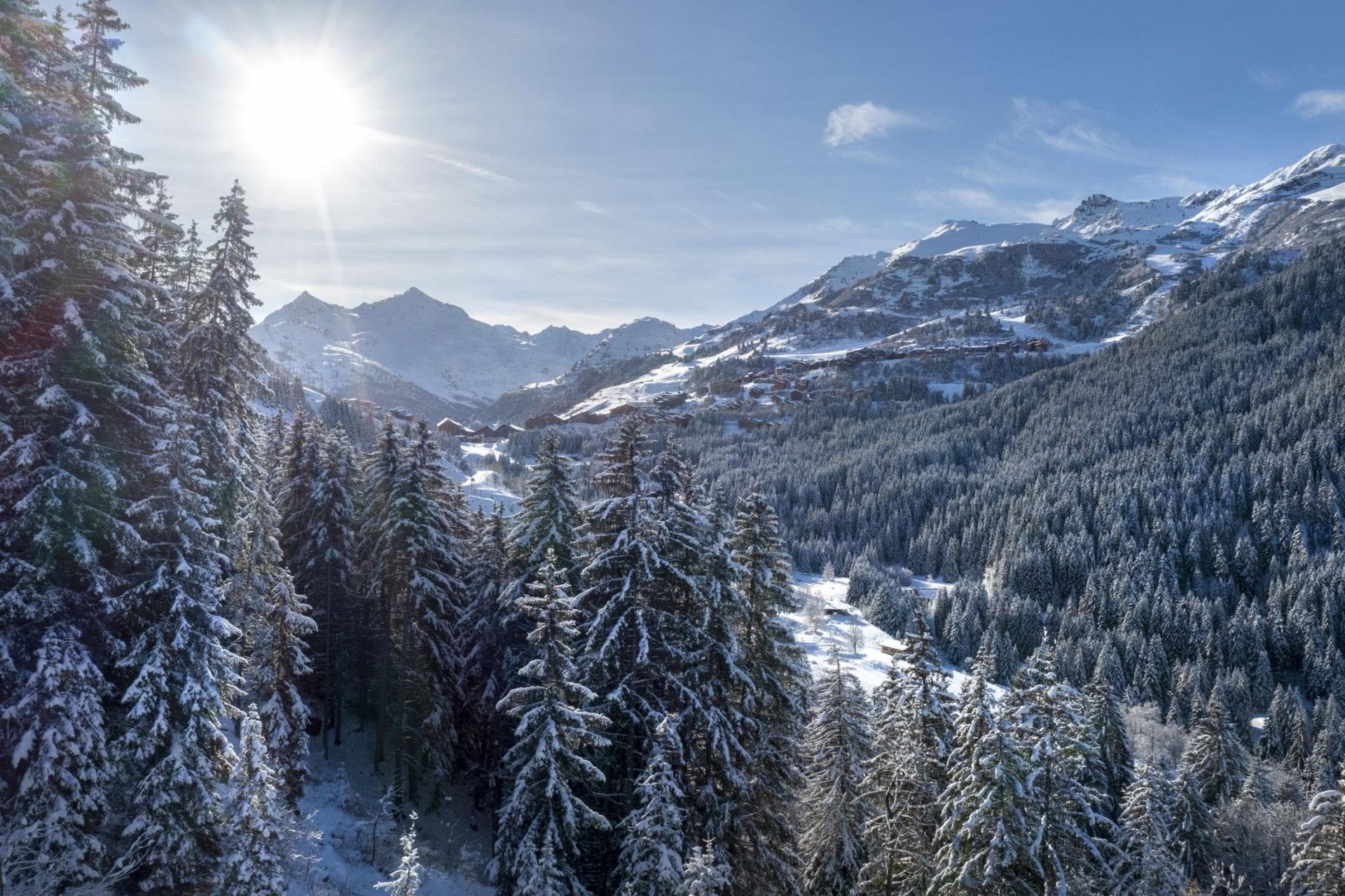 Valley views with snow-covered evergreens and distant mountain peaks