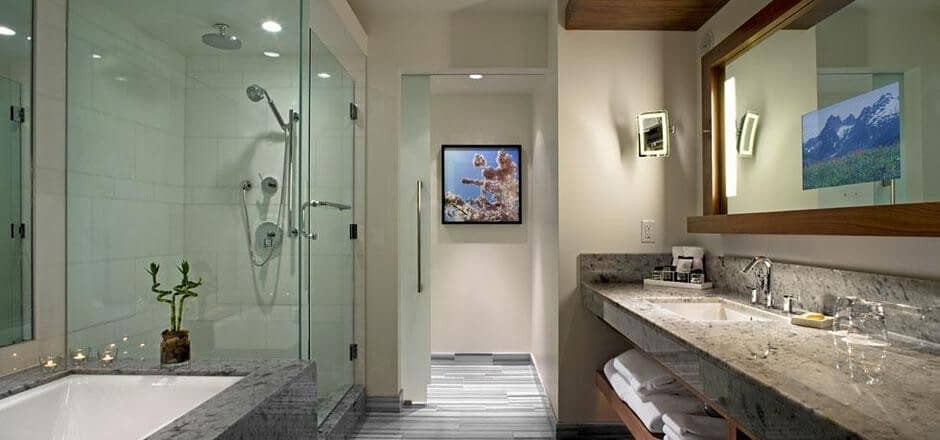 Bathroom with walk-in glass shower and integrated mirror television