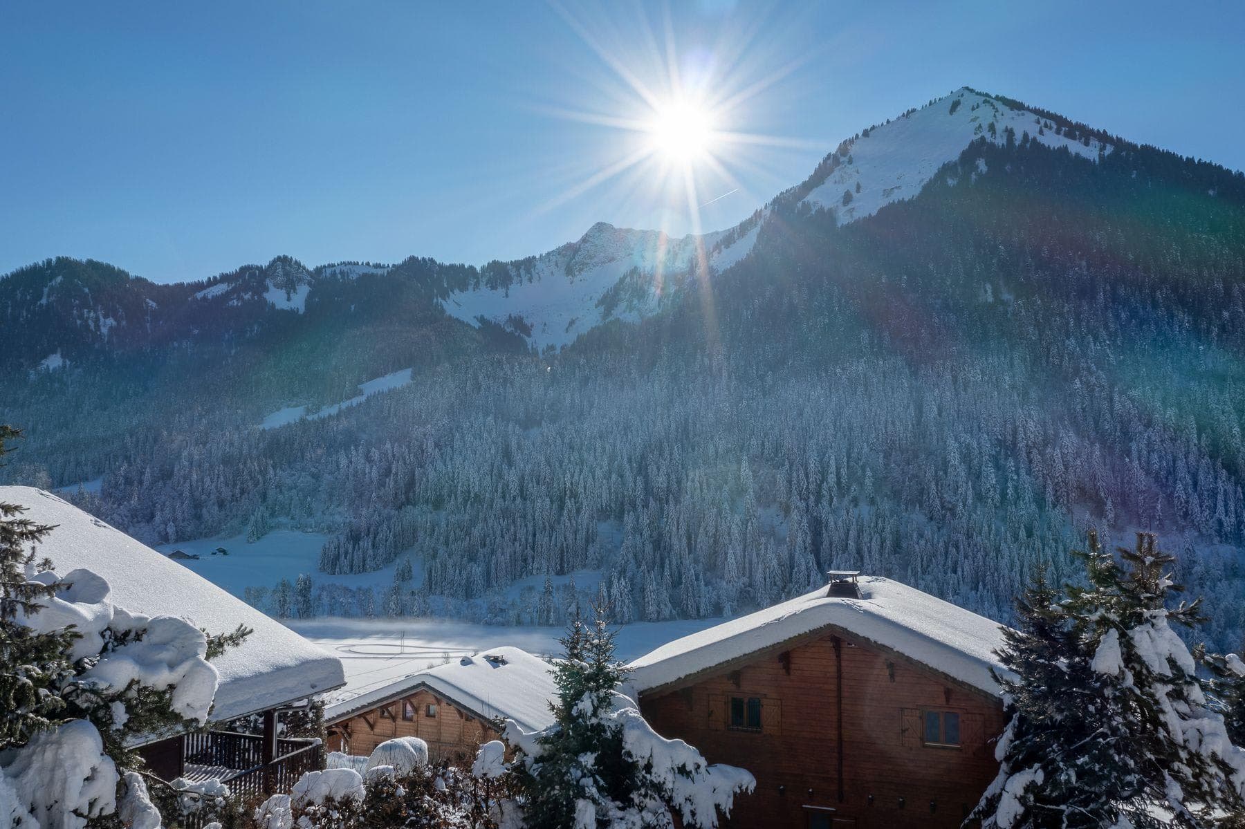 Chalet balcony view of snow-covered peaks and pine forests