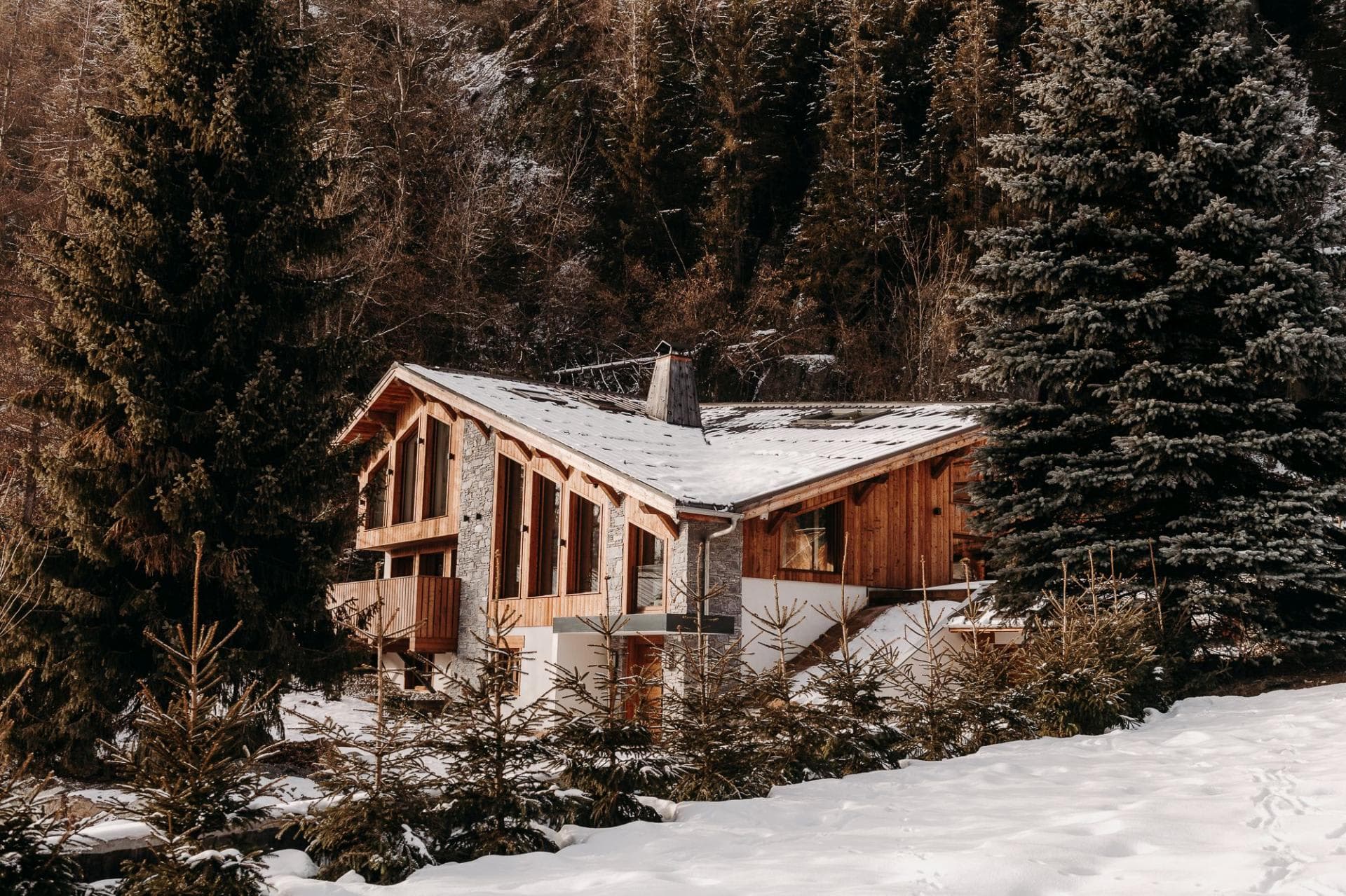 Chalet exterior with floor-to-ceiling windows and secluded forest backdrop