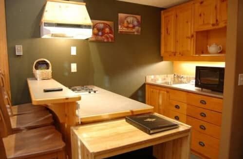 Kitchenette with two-burner stovetop, microwave, and bar seating for three