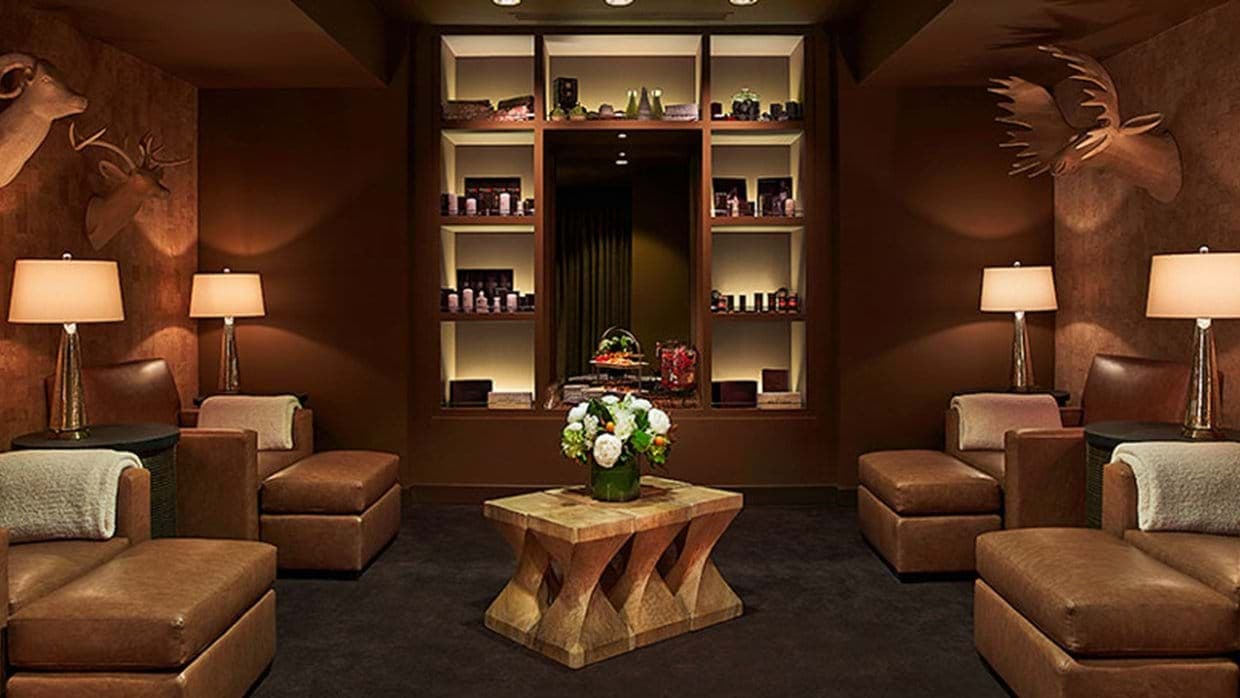 Lounge area with leather chaise seating and built-in apothecary shelving