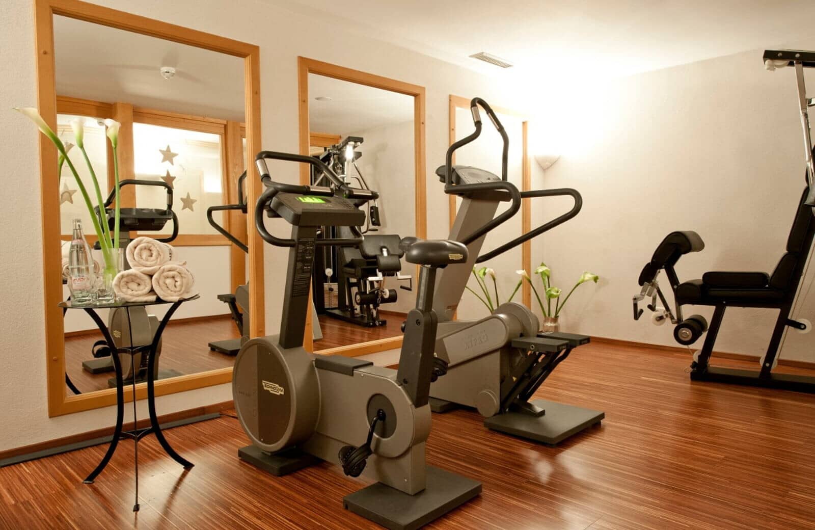 Fitness room with Technogym bikes, weight machine, and full-length mirrors