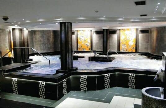 Indoor hydrotherapy pool with swan neck massage jets