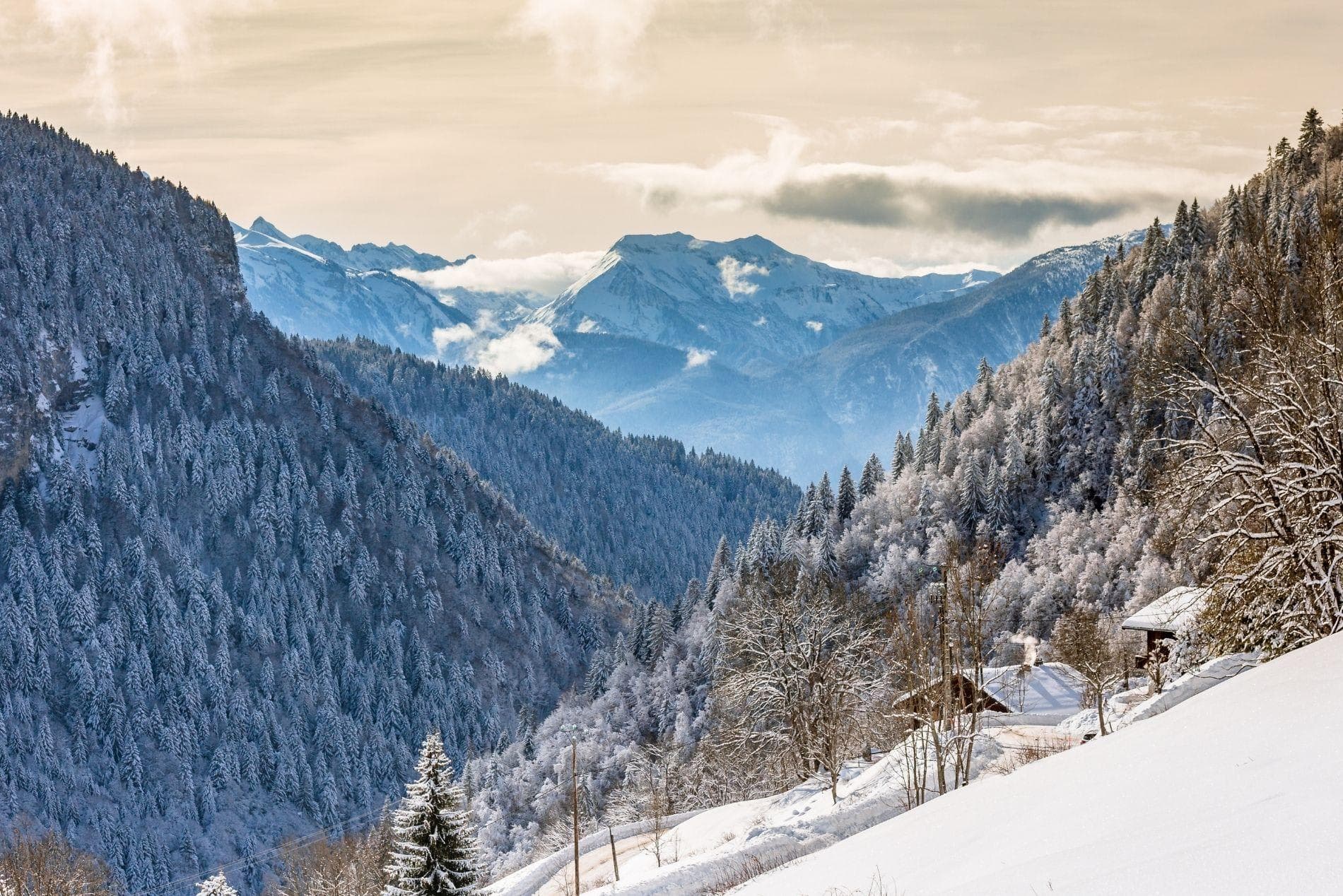 Panoramic mountain views with snow-covered pine forest and nearby alpine chalets