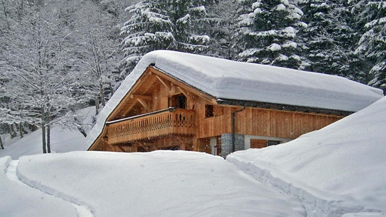 Timber chalet with balcony and surrounding pine forest