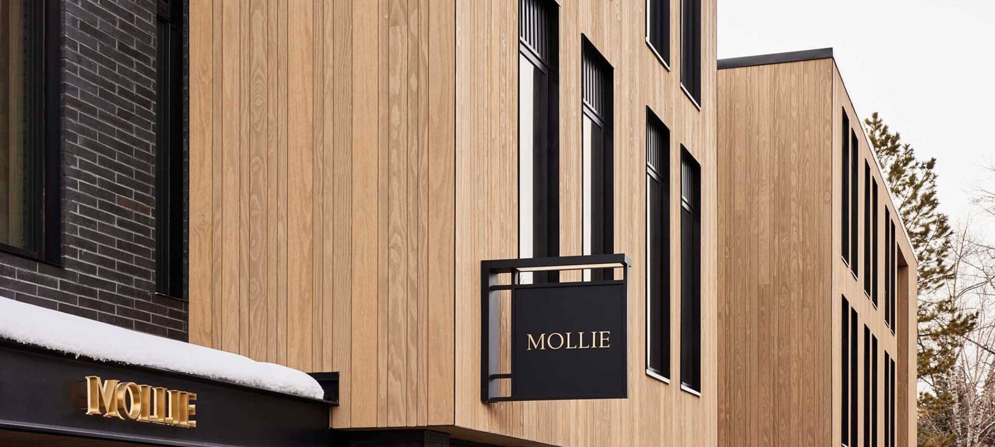 Building exterior featuring cedar siding, black-framed windows, and street-level signage