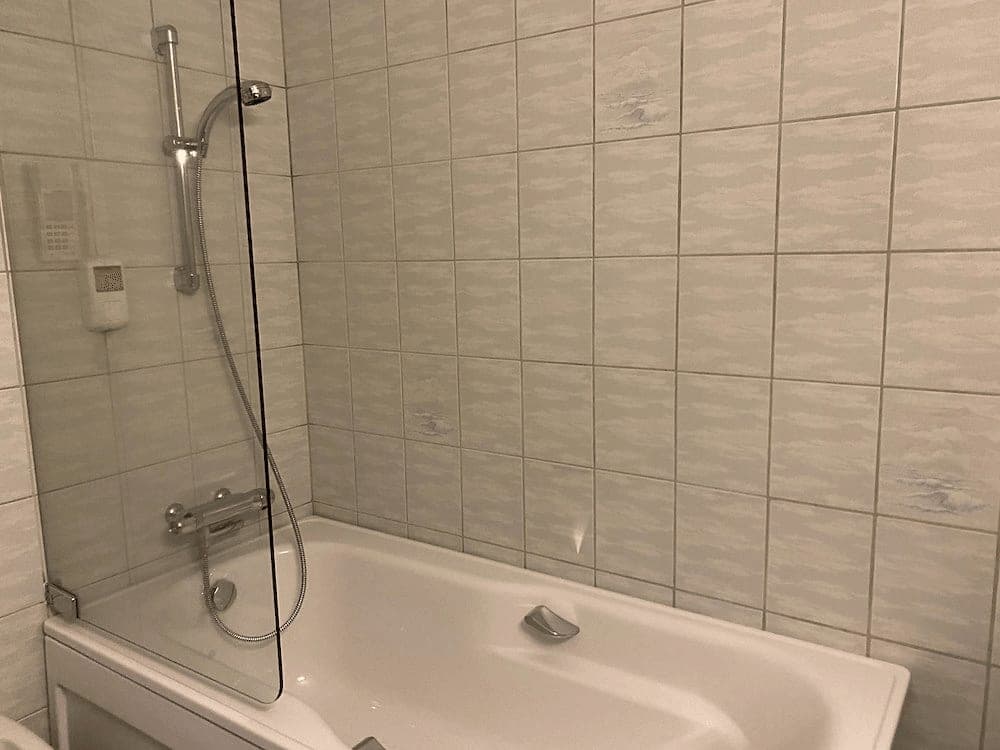 Tub-shower combo with adjustable handheld sprayer and glass partition