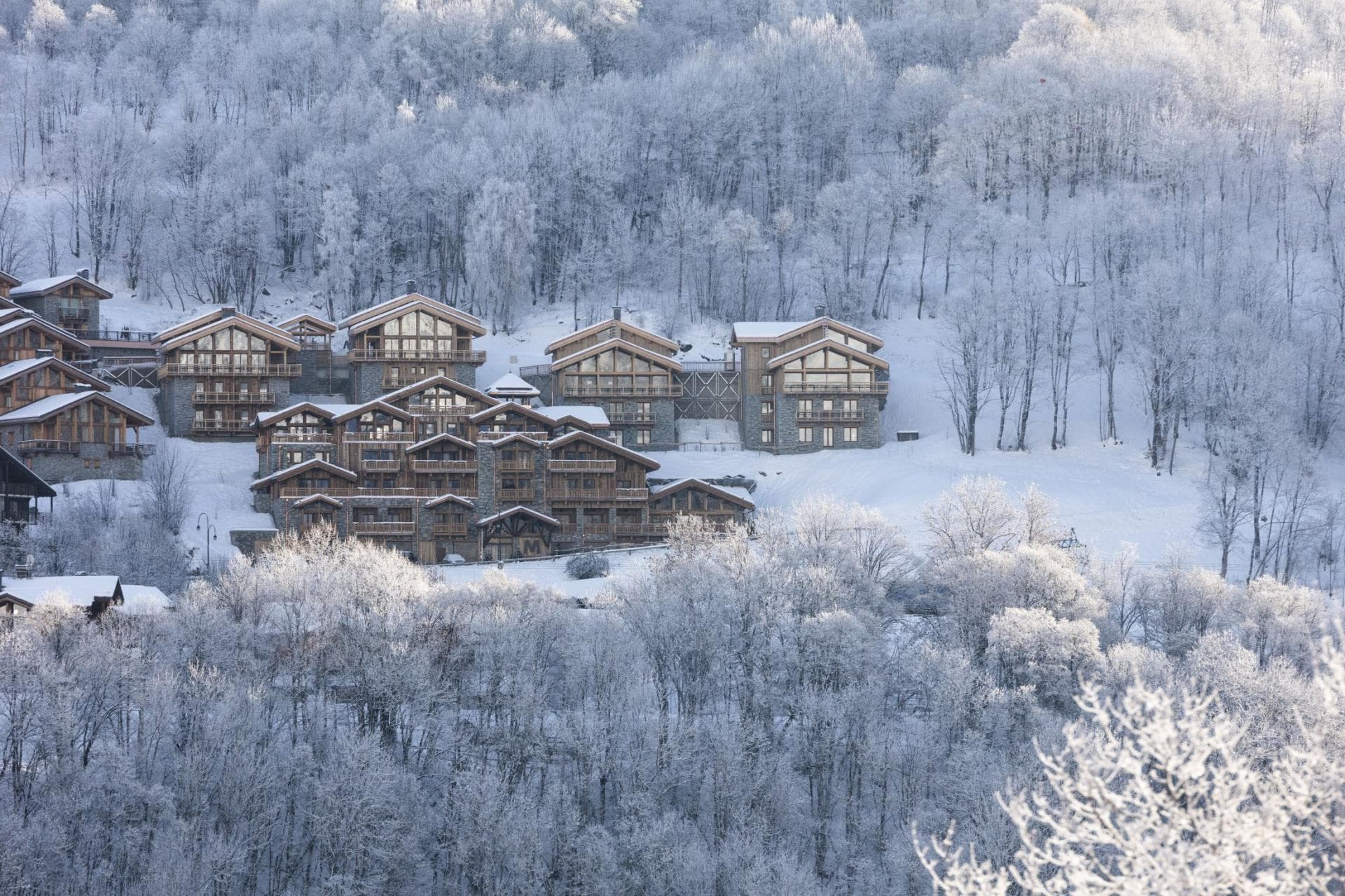 Ski-in, ski-out chalet complex nestled in snow-covered forest