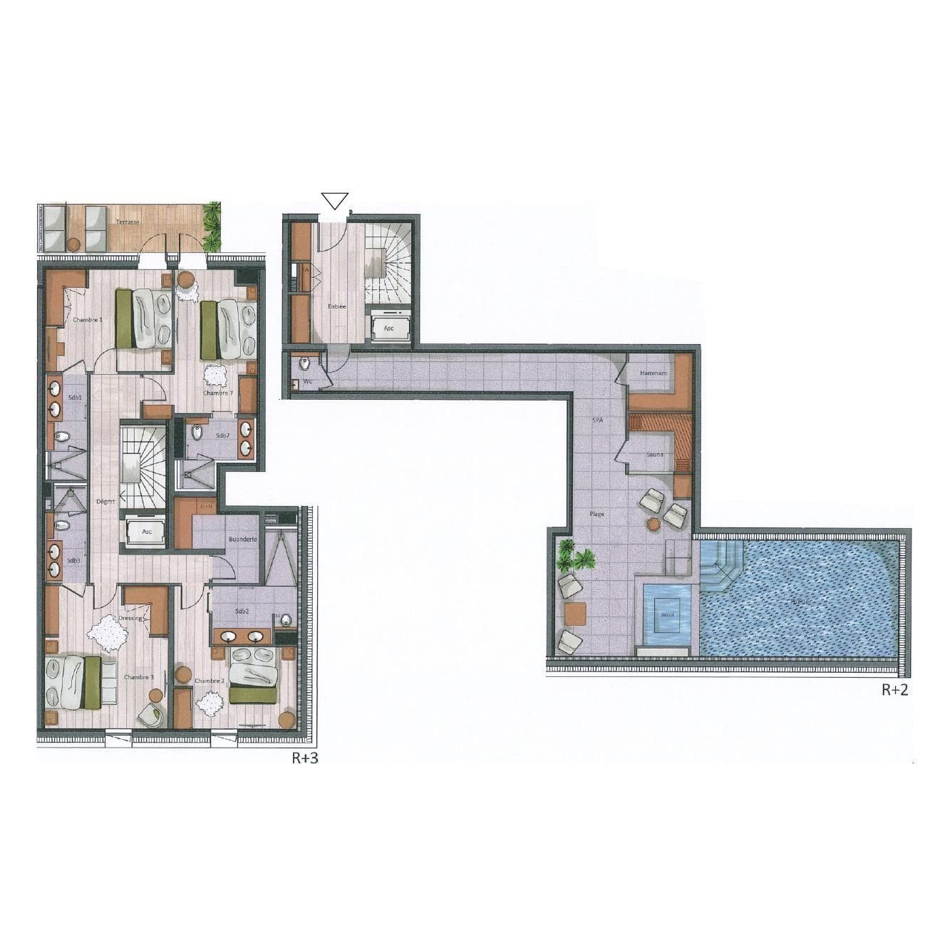Floor plan: four en-suite bedrooms, laundry room, sauna, and indoor pool