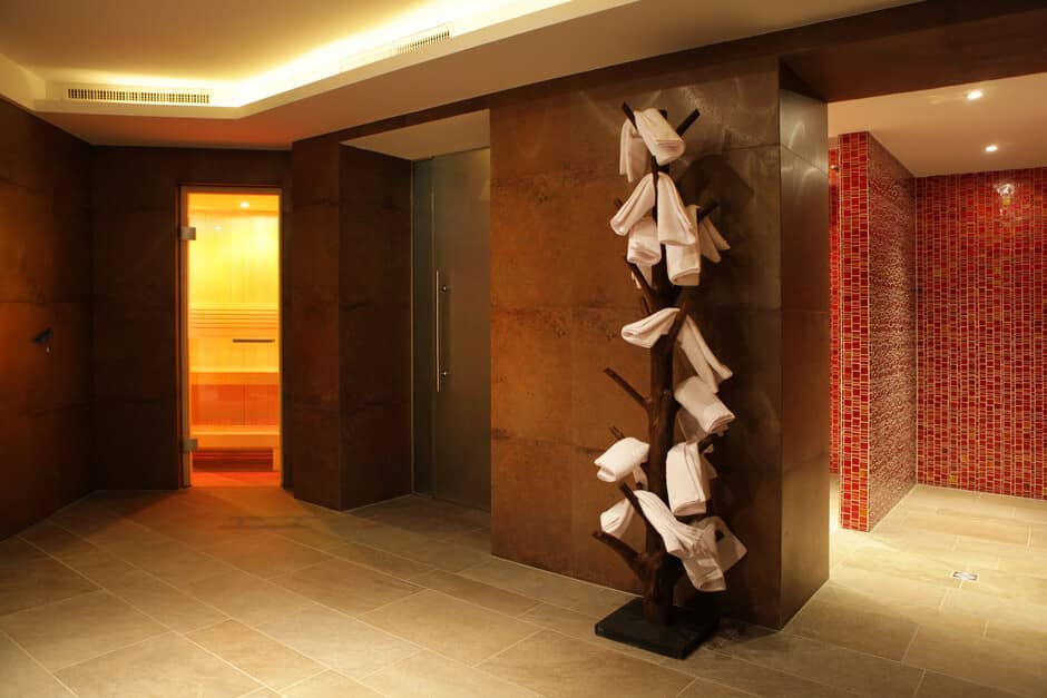 Spa area with dry sauna, walk-in shower, and towel tree