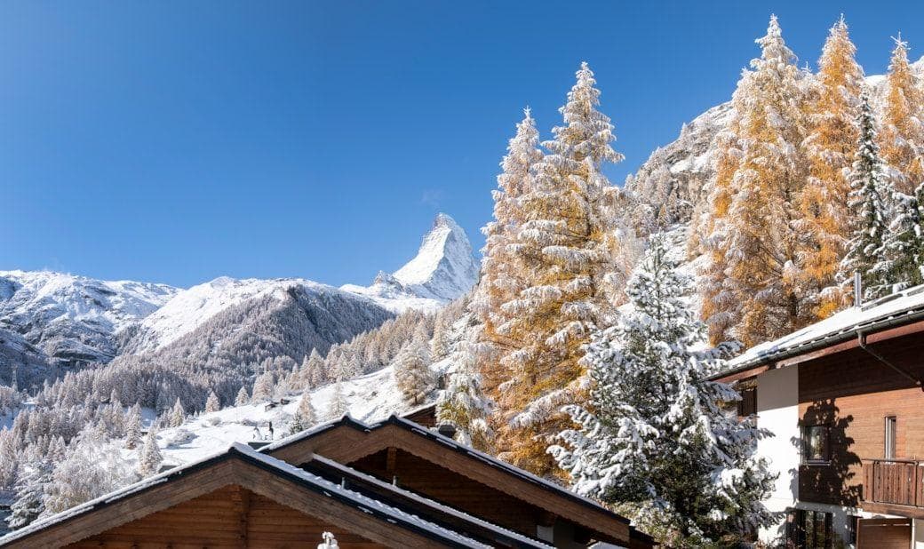Matterhorn mountain view with snow-covered larch trees