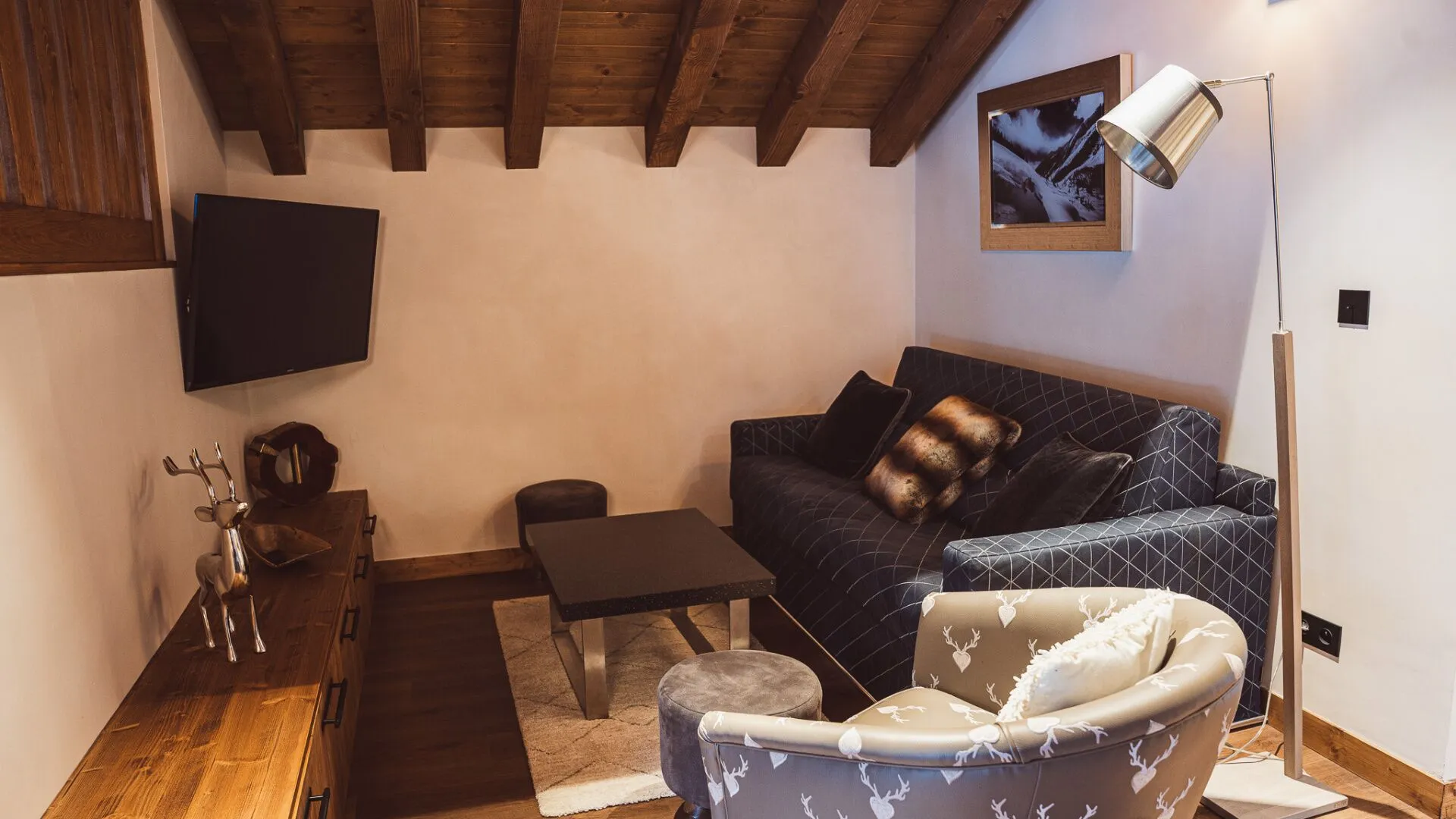Living room with sofa seating and television