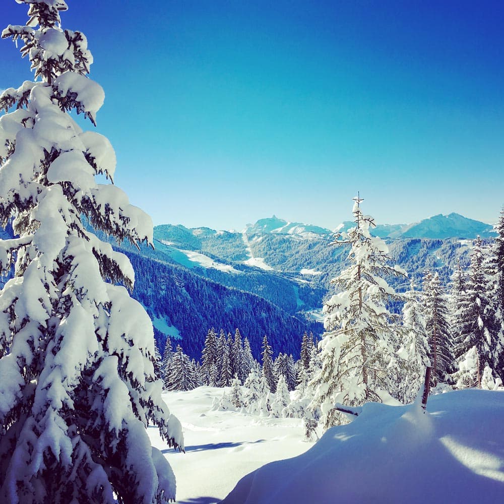 Alpine valley vista: snow-laden conifers frame distant peaks and ski runs